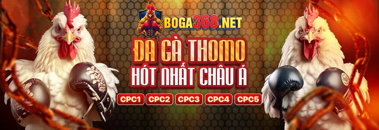 Đá Gà Trực Tuyến Bong88.com Kèo Nhà Cái